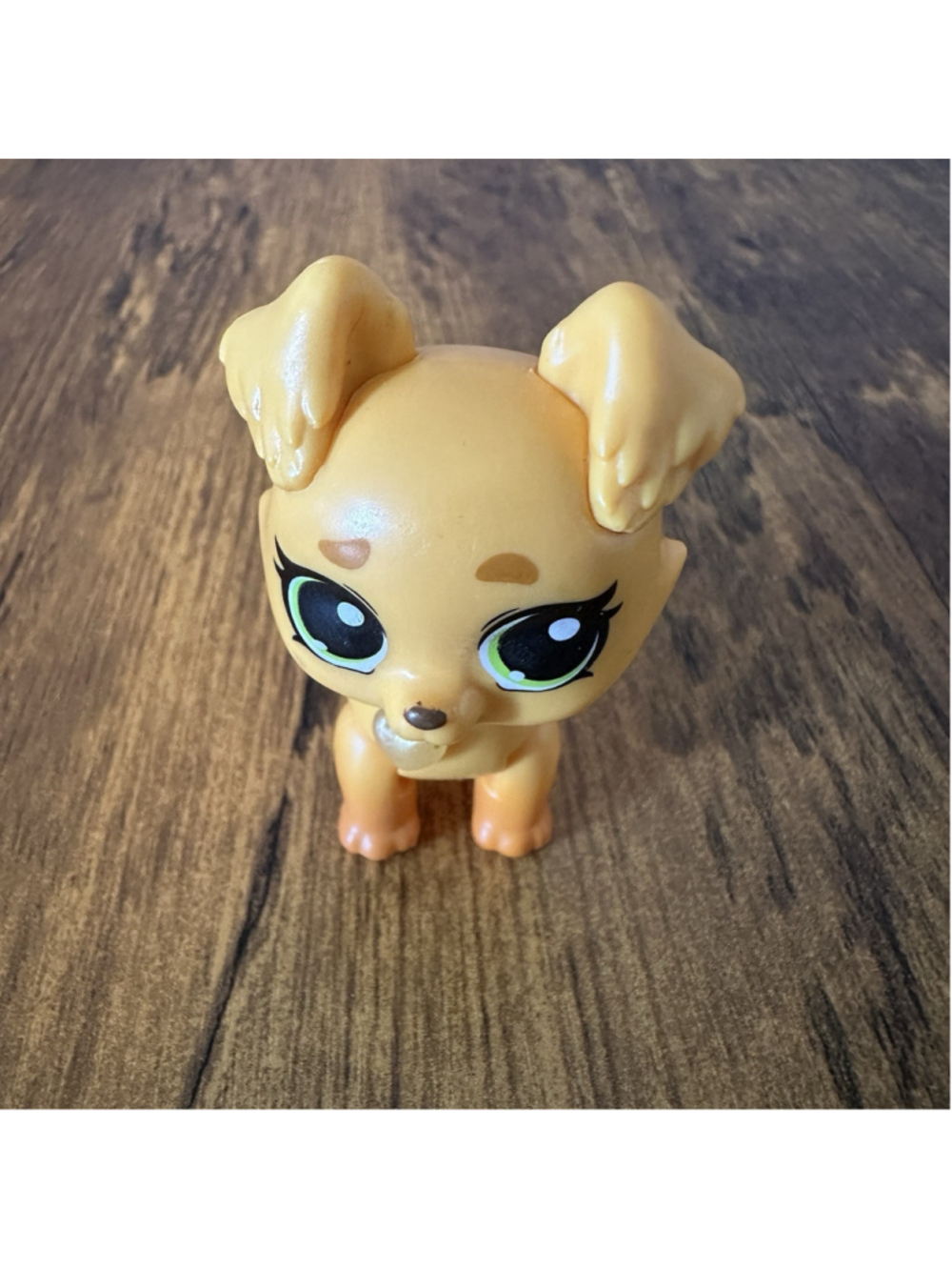 Zuru 5 Surprise Pet Rescue Series 1 Golden Puppy